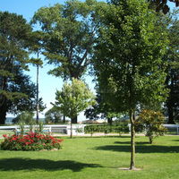 Hippodrome de Dieppe