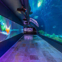 Les salons de l'Aquarium de Paris