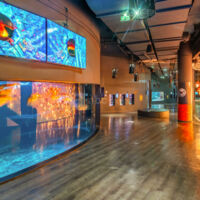 Les salons de l'Aquarium de Paris