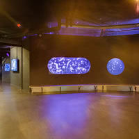 L'Aquarium