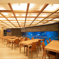 L'Aquarium