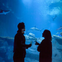 Les salons de l'Aquarium de Paris