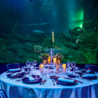 Les salons de l'Aquarium de Paris