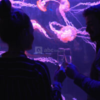 Les salons de l'Aquarium de Paris