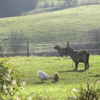 Maison Prairie Bonheur