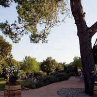 Mariage 120 personnes