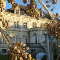 Vue du Chateau dans l'Orangerie en verre