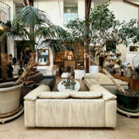 Salon espace central