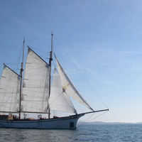 Bateau