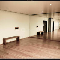 Flex zone miroir