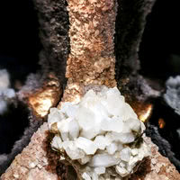 Le Roc des Harmonies