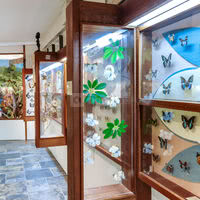 Le Roc des Harmonies