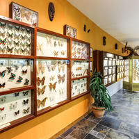 Le Roc des Harmonies