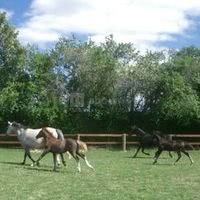 Le Château d'Émalleville