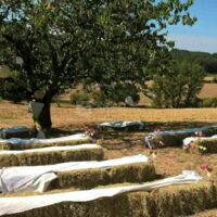 Domaine de Massoulac