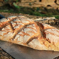 Pain biologique maison cuit au four à bois