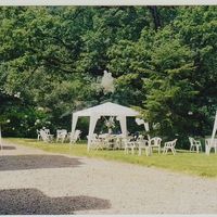 Les bords de l'étang