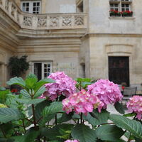 La Cour