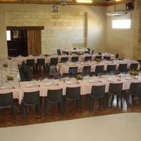 Cedrus 1
