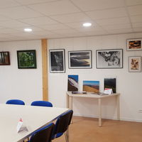 Exposition de peintures et photos