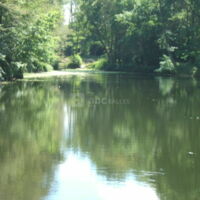 Lac