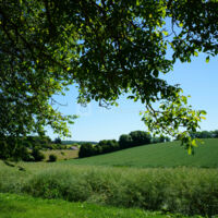 Domaine des Écuries