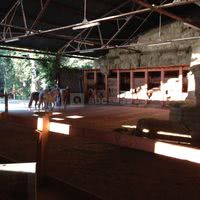 Grange Chevaux