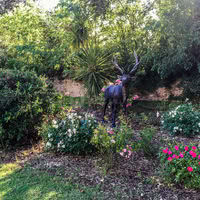 Une des nombreuses statues