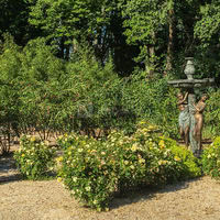 Une des nombreuses statues