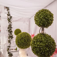 Nouvel Espace Garden
