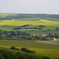 Les Cottages de la Vigne