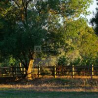 Domaine de Biar