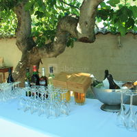 Cocktail sous le figuier centenaire