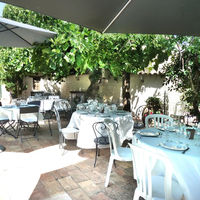 Brunch sous figuier centenaire près de la piscine