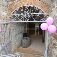 Domaine du Tane