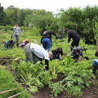 Ferme du Piqueur