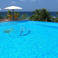 La piscine
