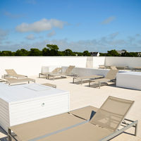 Adonis la Baule