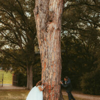 Le Domaine d'En Fargou