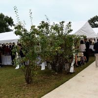 Terrasse de la salle Capitole