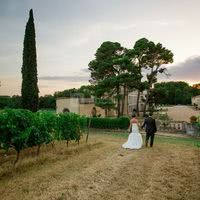 Vignes