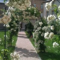 Restaurant Les Amis de Saint Louis