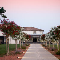 Domaine du Mas Neuf - Entrée