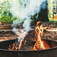Feu de bois