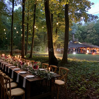 Mariage en forêt