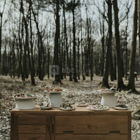 Buffet en forêt