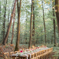 Diner en forêt
