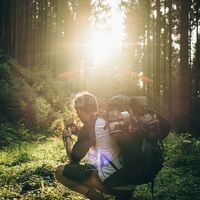 Survie en forêt