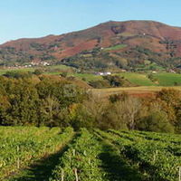 La Ferme Aux Piments