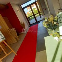 Accueil avec notre moquette rouge et décorations